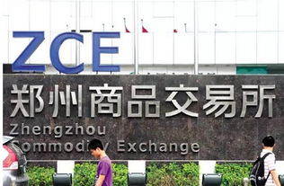 投資者必知 全國(guó)性交易所僅8家，警惕上海信息咨詢(xún)服務(wù)類(lèi)陷阱